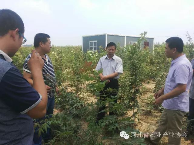 孫悅明會(huì)長等協(xié)會(huì)領(lǐng)導(dǎo)到安平縣會(huì)員單位調(diào)研， 取得良好效果