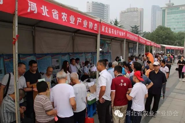 省農(nóng)業(yè)產(chǎn)業(yè)協(xié)會(huì)組織會(huì)員參加 “2016年全國科普日河北省主場(chǎng)活動(dòng)”，受到歡迎