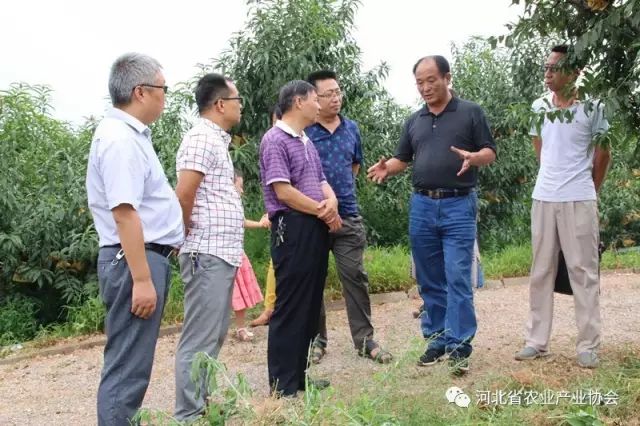 協(xié)會(huì)組織媒體記者赴常務(wù)理事單位行唐縣新農(nóng)生態(tài)農(nóng)業(yè)開發(fā)有限公司參觀、交流
