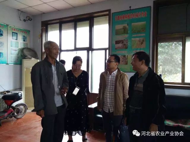 孫悅明會(huì)長(zhǎng)等領(lǐng)導(dǎo)赴晉州聽取薯業(yè)專委工作匯報(bào)， 并進(jìn)行調(diào)研