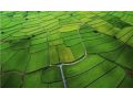 高標(biāo)準(zhǔn)農(nóng)田建設(shè)是啥？居然能讓收入翻倍！